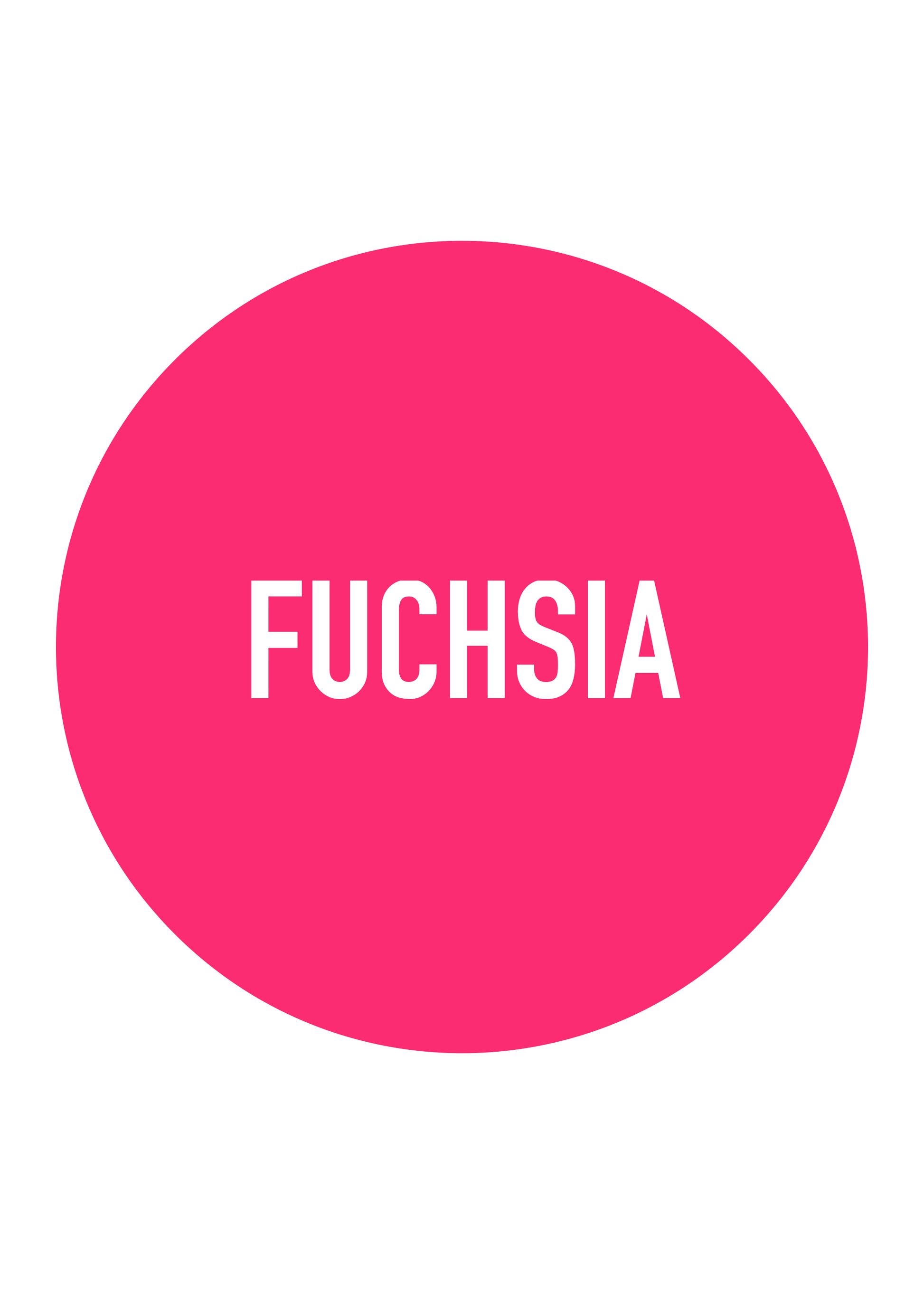 Circle 2025 zip jumper